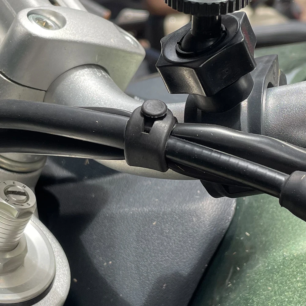 Para ducati monster multistrad - Monstera Adansonii avaliação e preço
