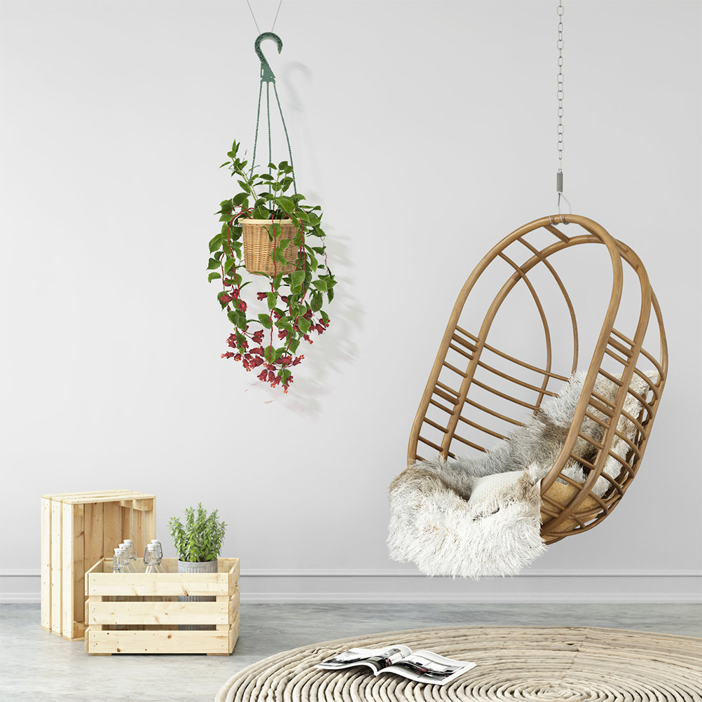 Conjunto de 5 Ganchos Modernos - Spider Plant Hanging avaliação e preço