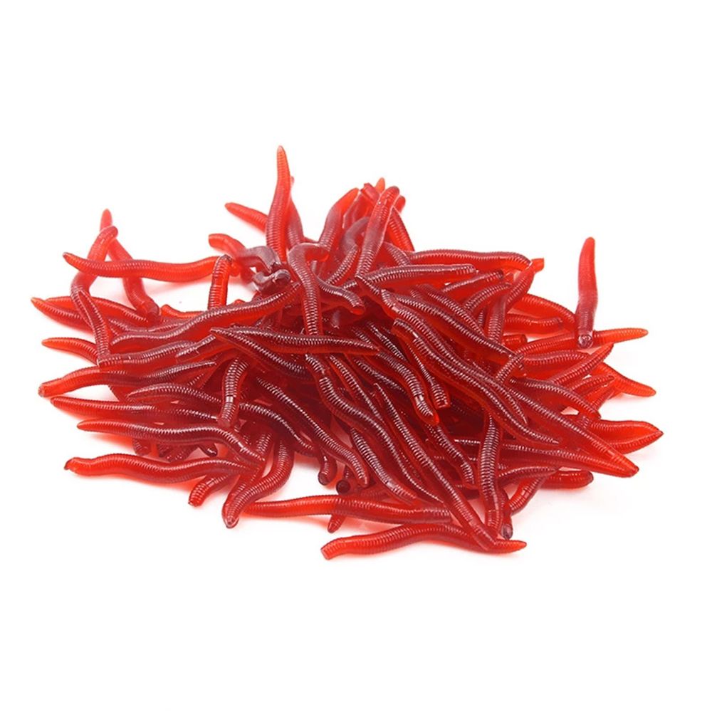 100 pçs/garrafa realista enfre - Aglaonema Red avaliação e preço
