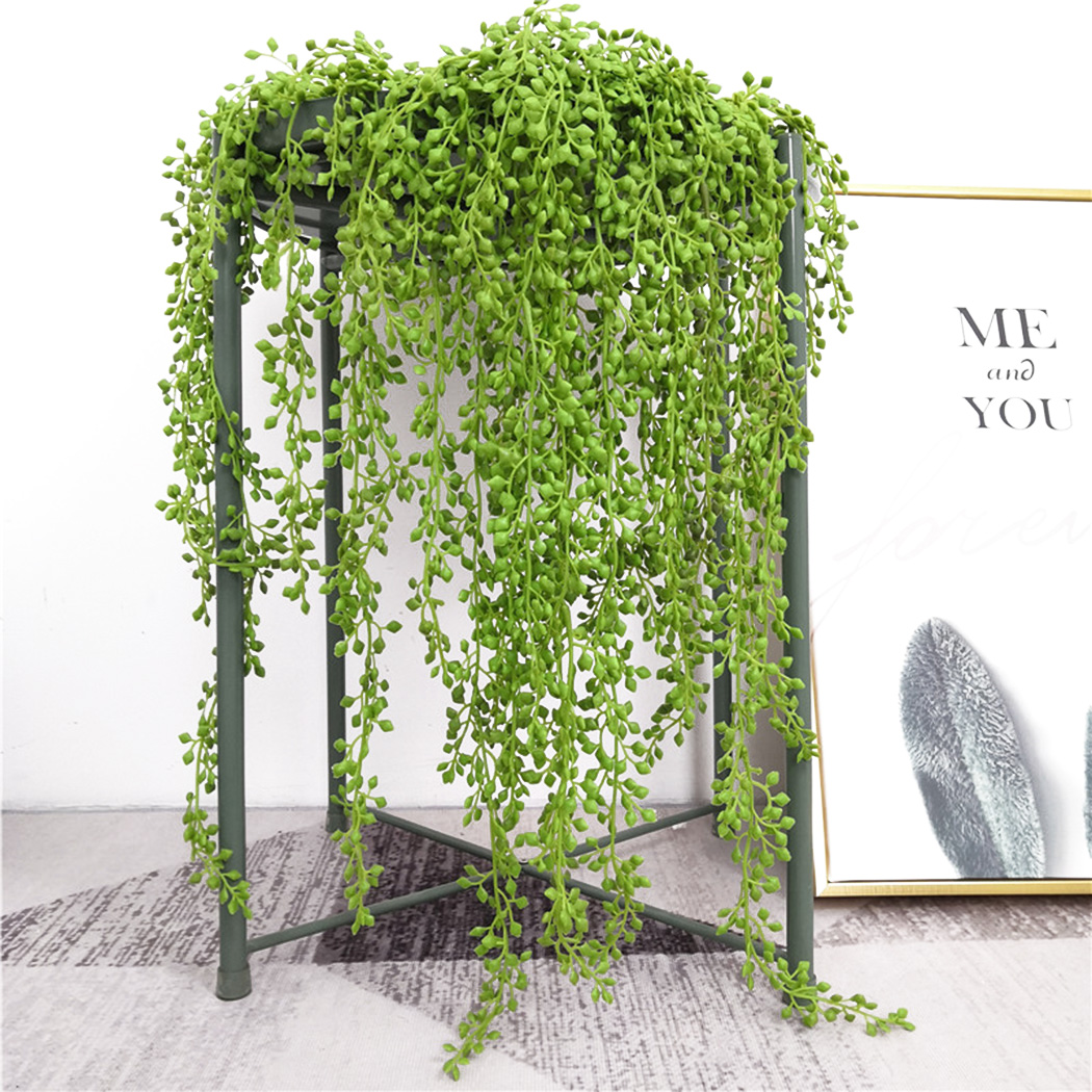 Ao ar livre, Jardim, Decoração - Ficus Lyrata Tree avaliação e preço