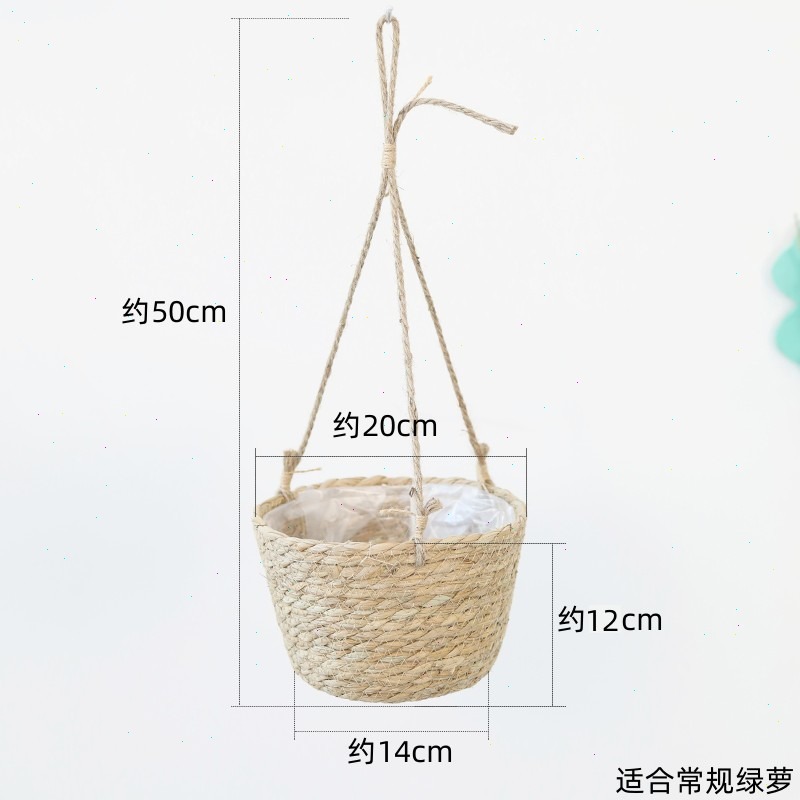 Palha pendurado cesta vaso de  - Spider Plant Hanging avaliação e preço
