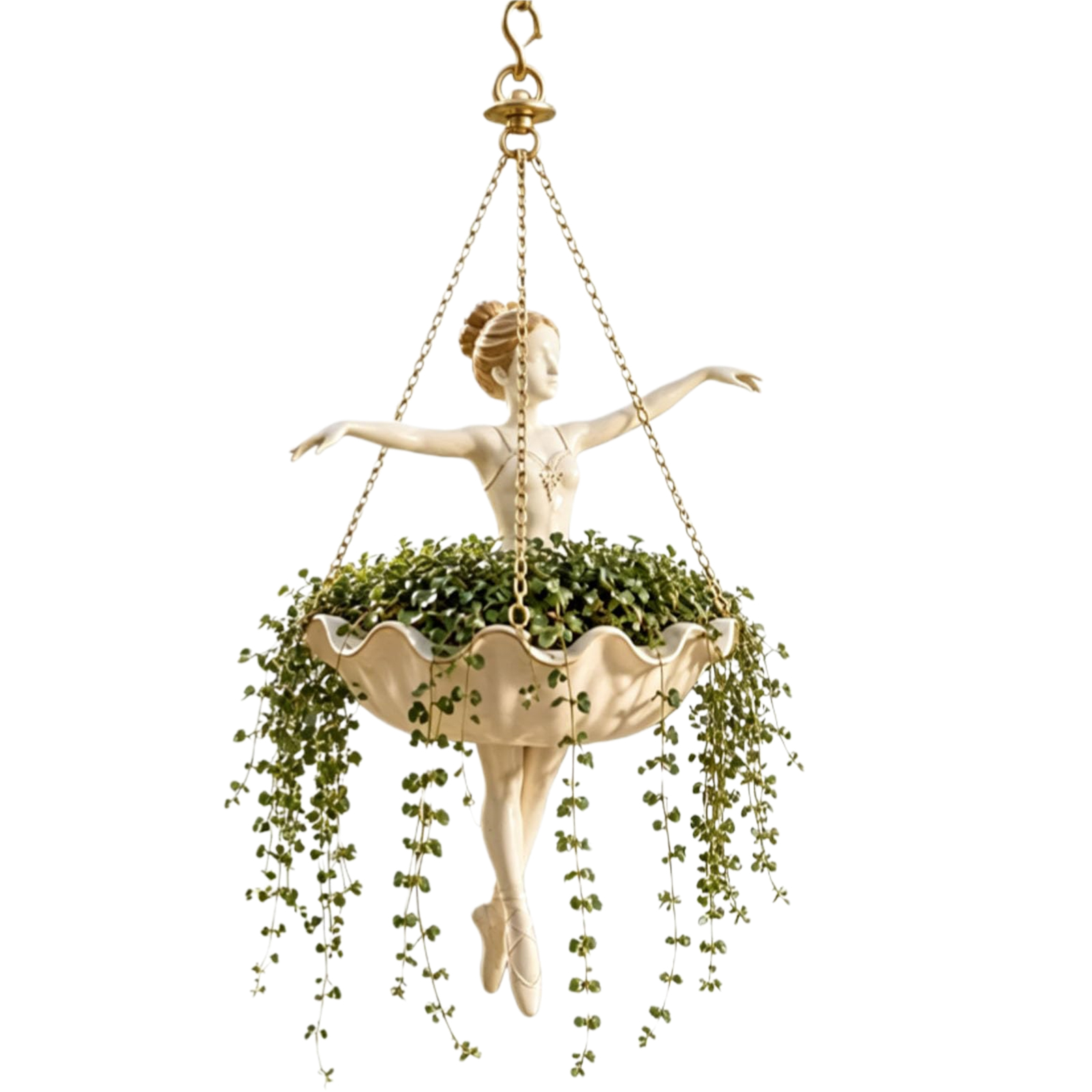 Vaso Suspenso Bailarina: Fácil - Spider Plant Hanging avaliação e preço